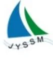 VYSSM VYSSM
